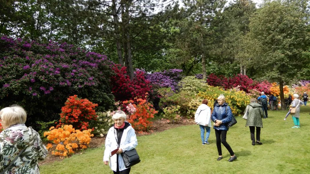 Seniorzy na wycieczce krajoznawczej