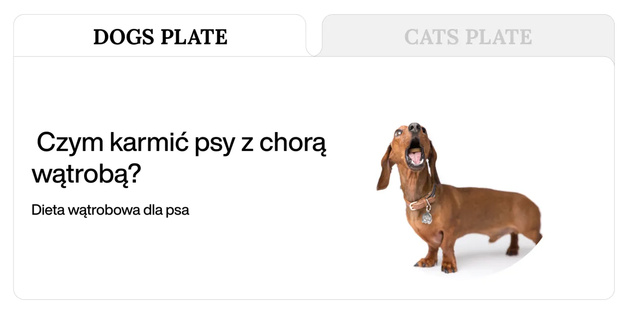 bezpieczne warzywa dla psa z chorą wątrobą