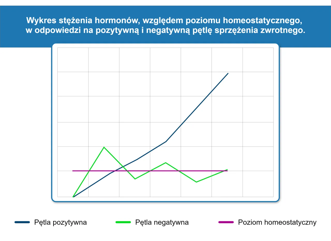 schemat sprzężenia zwrotnego ujemnego