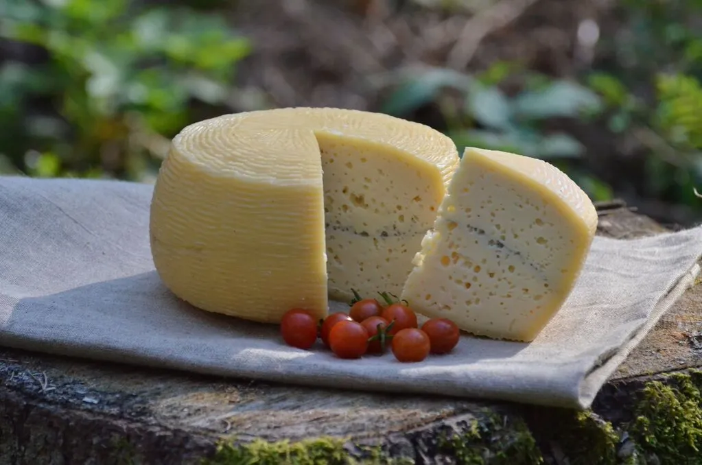 Lokalny miód Białowieża / Sery regionalne Podlasie