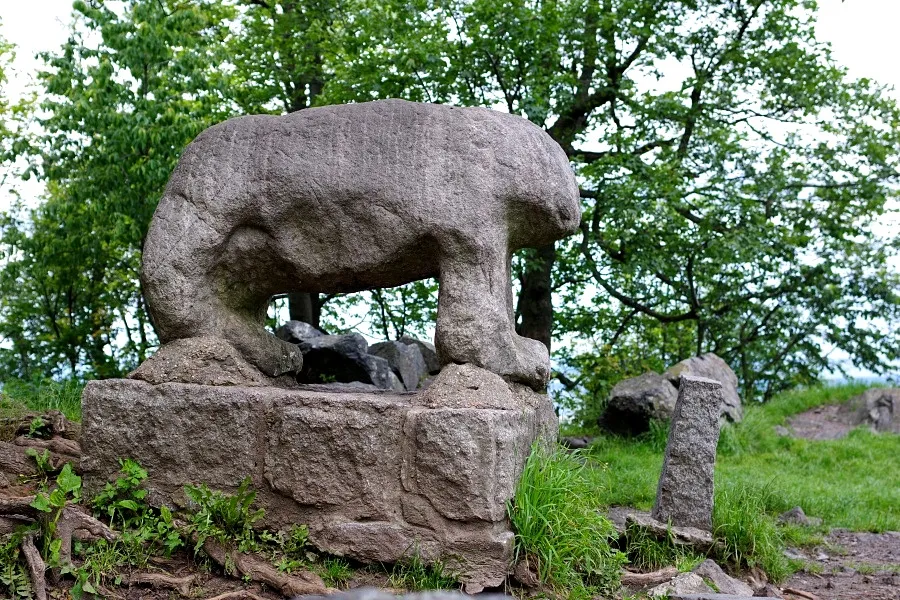 Flora i fauna rezerwatu G&oacute;ra Ślęża