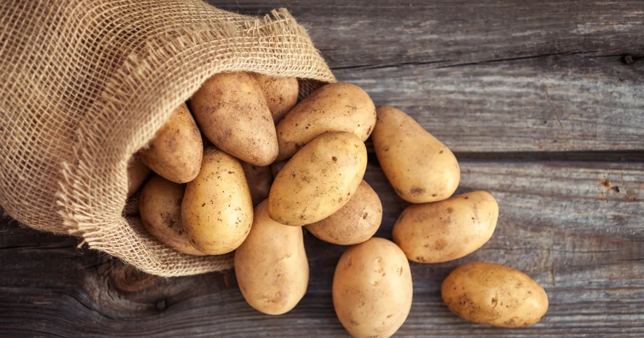 r&oacute;żne odmiany ziemniak&oacute;w i ich wartości odżywcze