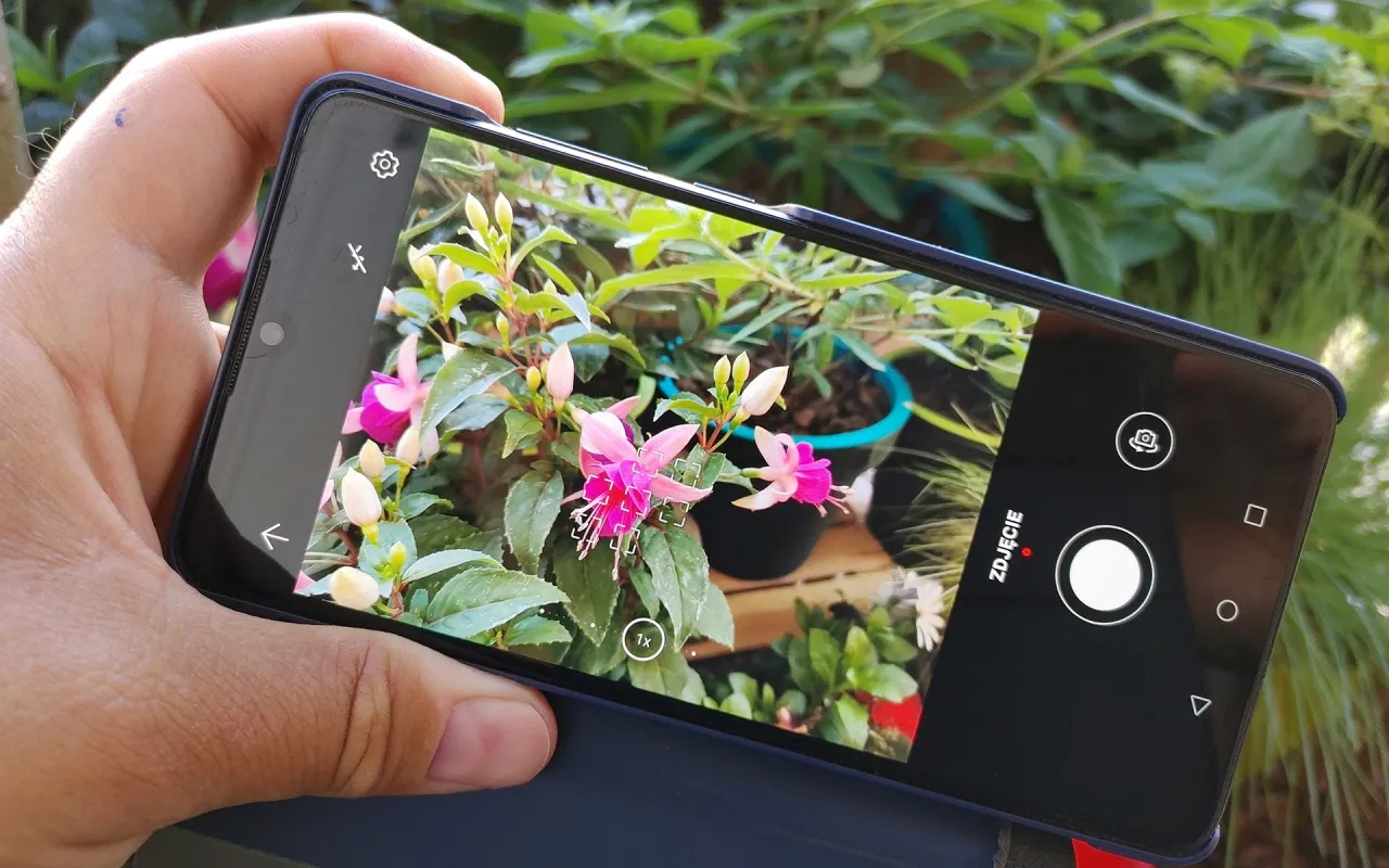 Smartfon z aplikacją do rozpoznawania roślin fotografuje fuksje.