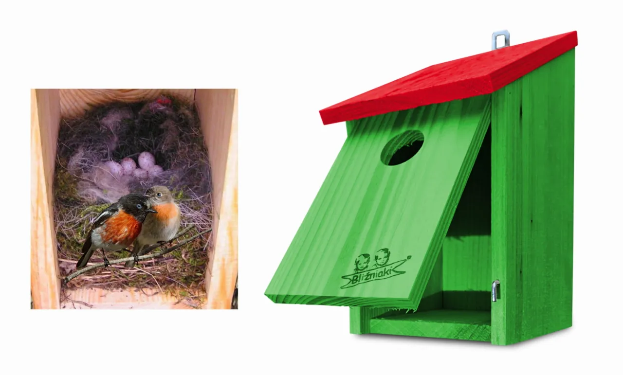 bezpieczny pokój dla kanarka, zabezpieczone okna dla ptaka