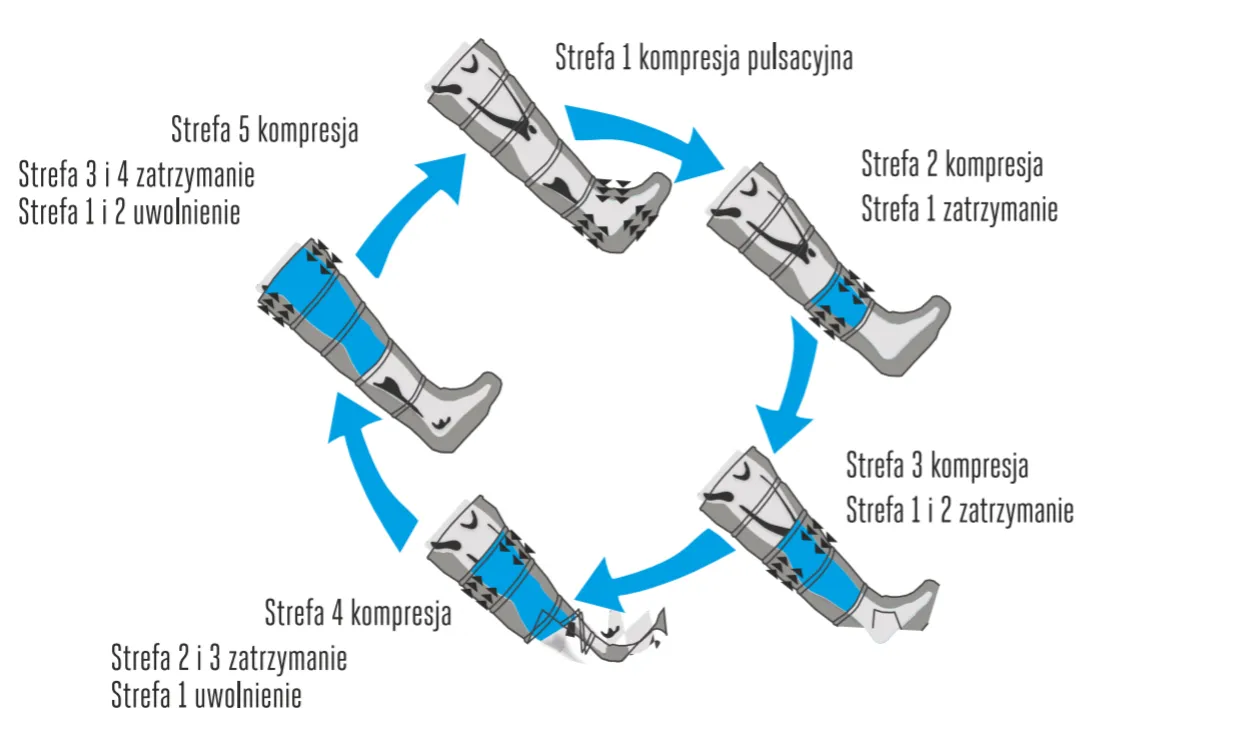 schemat pompa mięśniowa noga limfa