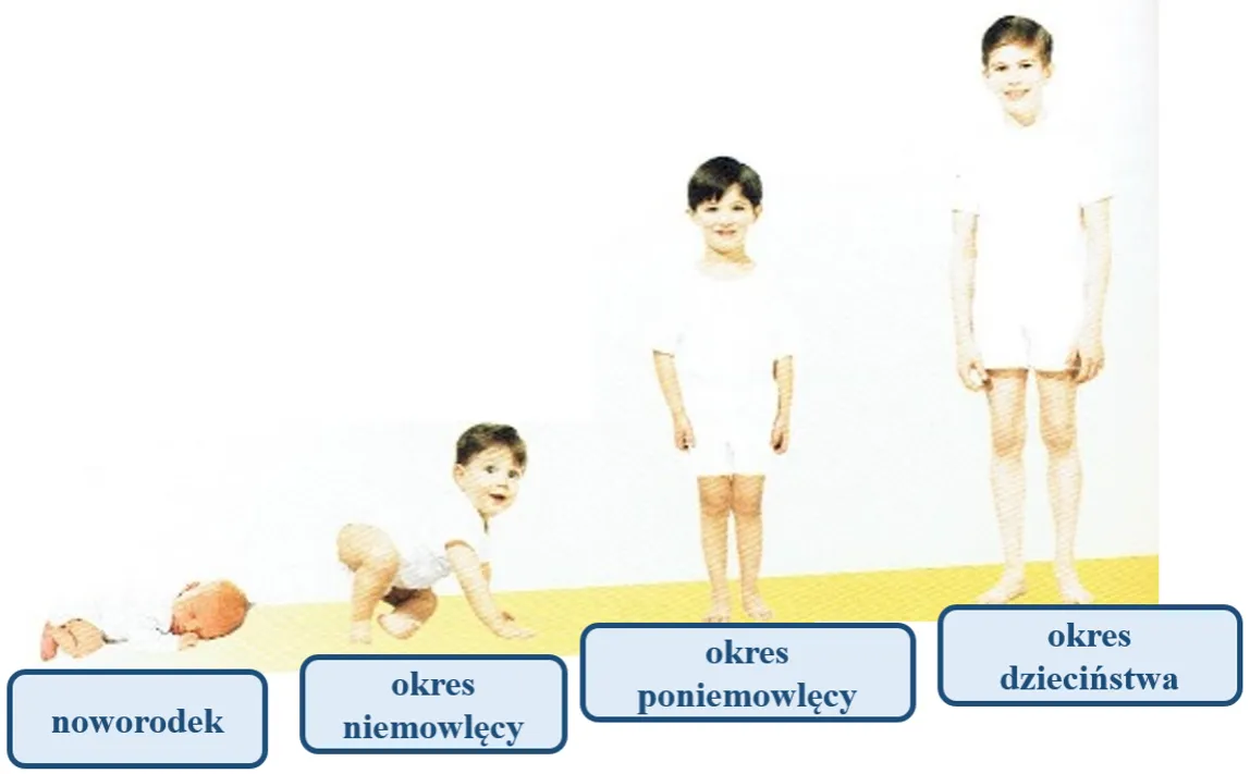 Zdjęcie Co to jest rozwój dziecka? Kluczowe etapy i ich znaczenie dla malucha
