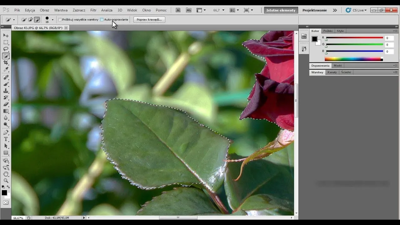Zaznaczanie skomplikowanego obiektu w Photoshopie