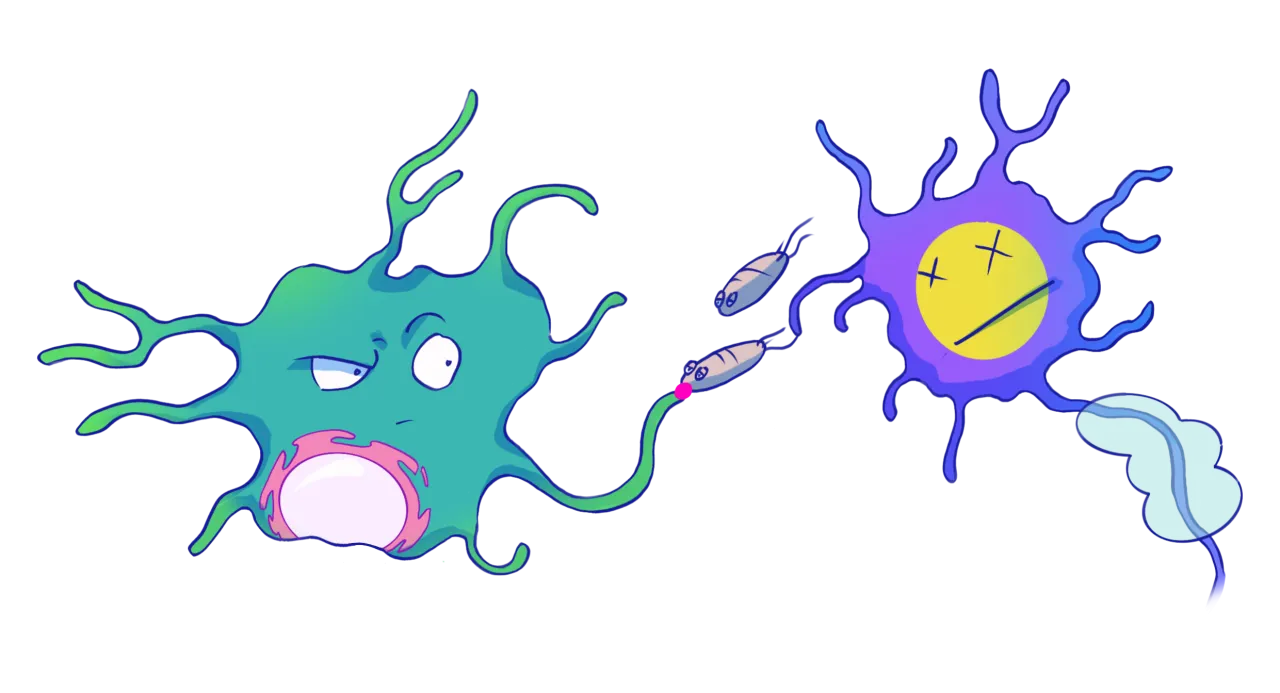 mózg połączenia nerwowe psychodeliki