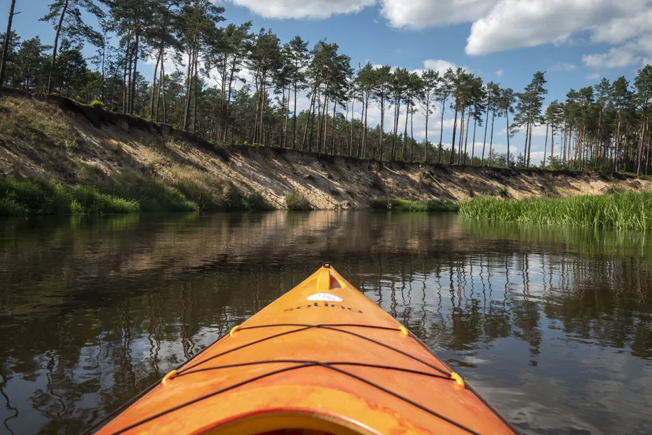 spływ kajakowy pilica krajobrazy