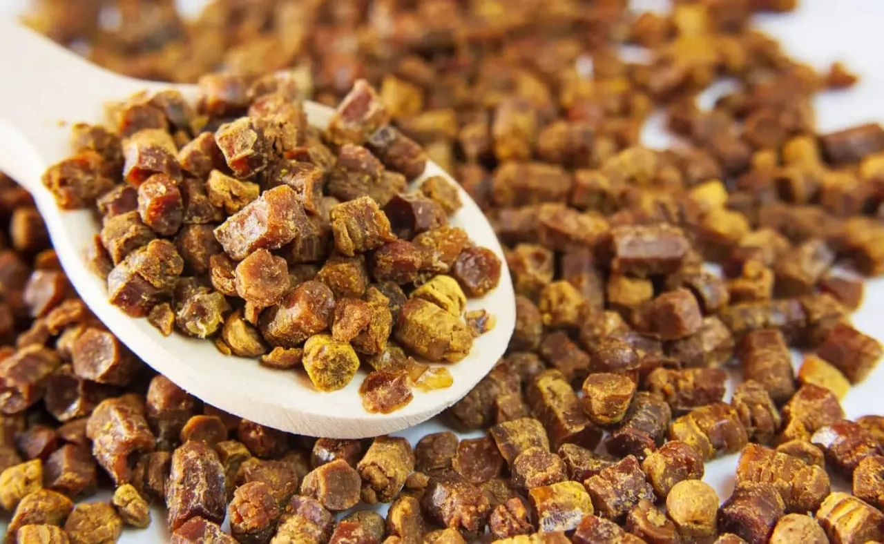 Pierzga pszczela w granulkach i jej zastosowanie