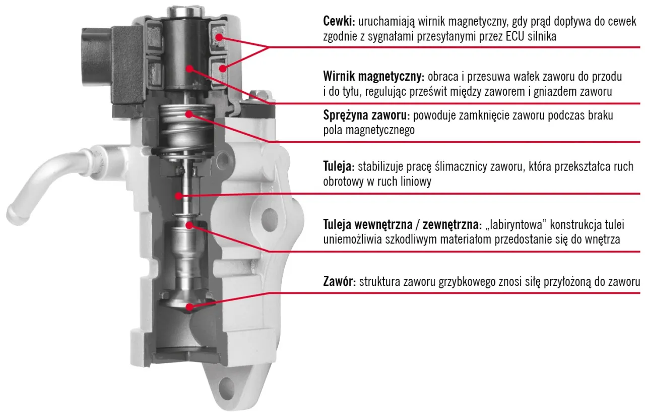 Przekr&oacute;j zaworu EGR. Wymienione elementy: cewki, wirnik magnetyczny, sprężyna, tuleja, tuleja wewnętrzna/zewnętrzna, zaw&oacute;r. Objawy awarii zaworu EGR mogą być związane z jego budową.
