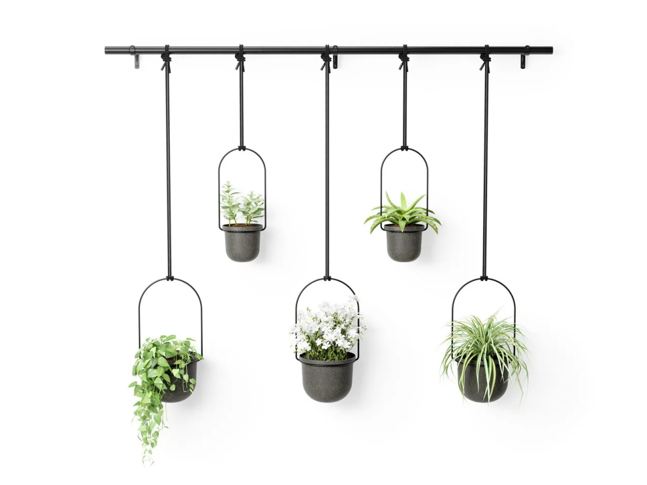 Kwietnik wiszący z roślinami pnącymi i zwisającymi