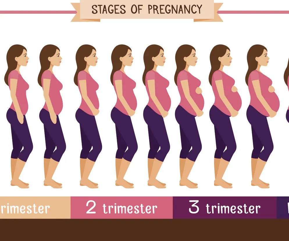 kobieta obliczająca tydzień ciąży