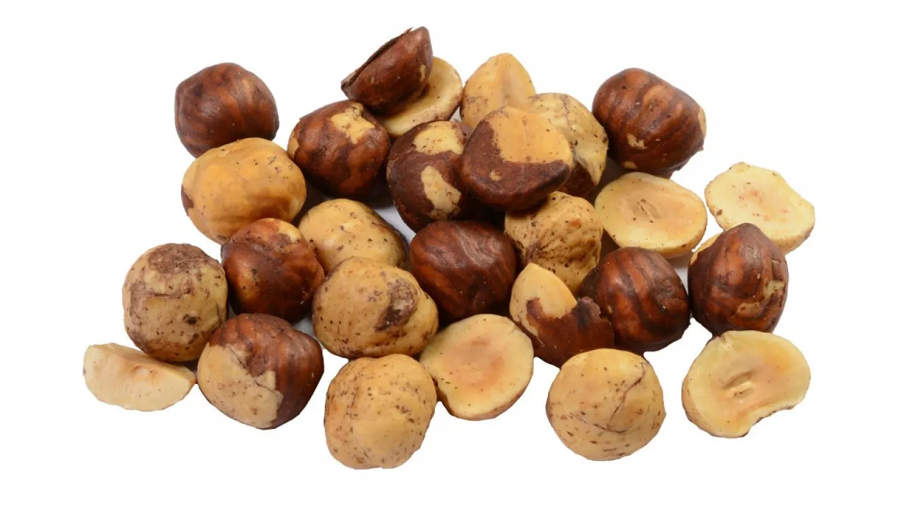 prażone orzechy laskowe na blasze