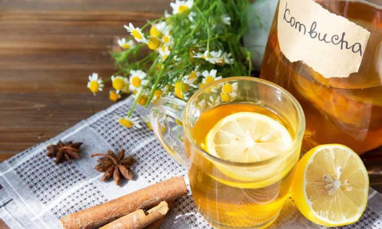 kombucha z dodatkami owocowymi i ziołowymi