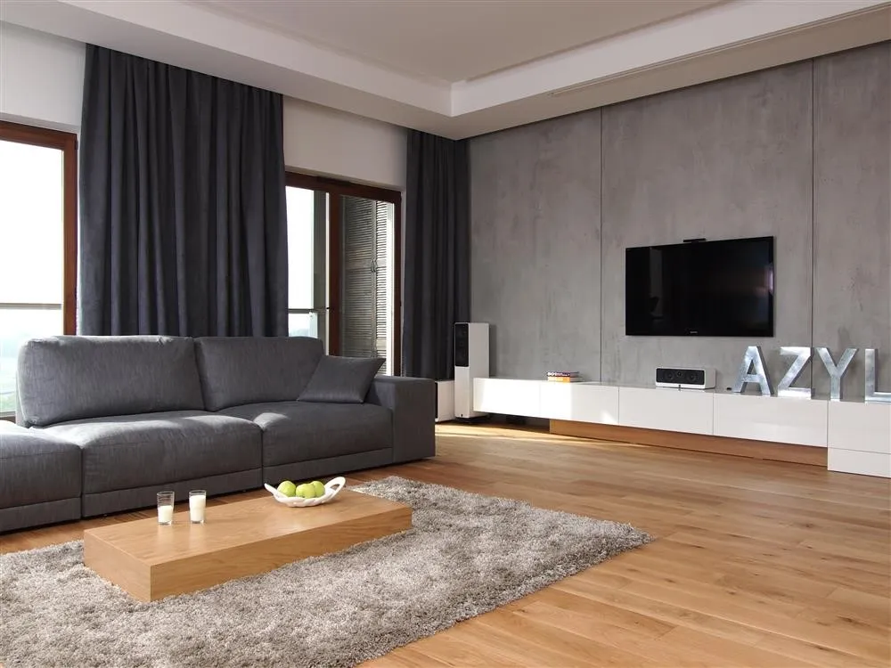 nowoczesne wnętrze ze ścianą z betonu dekoracyjnego