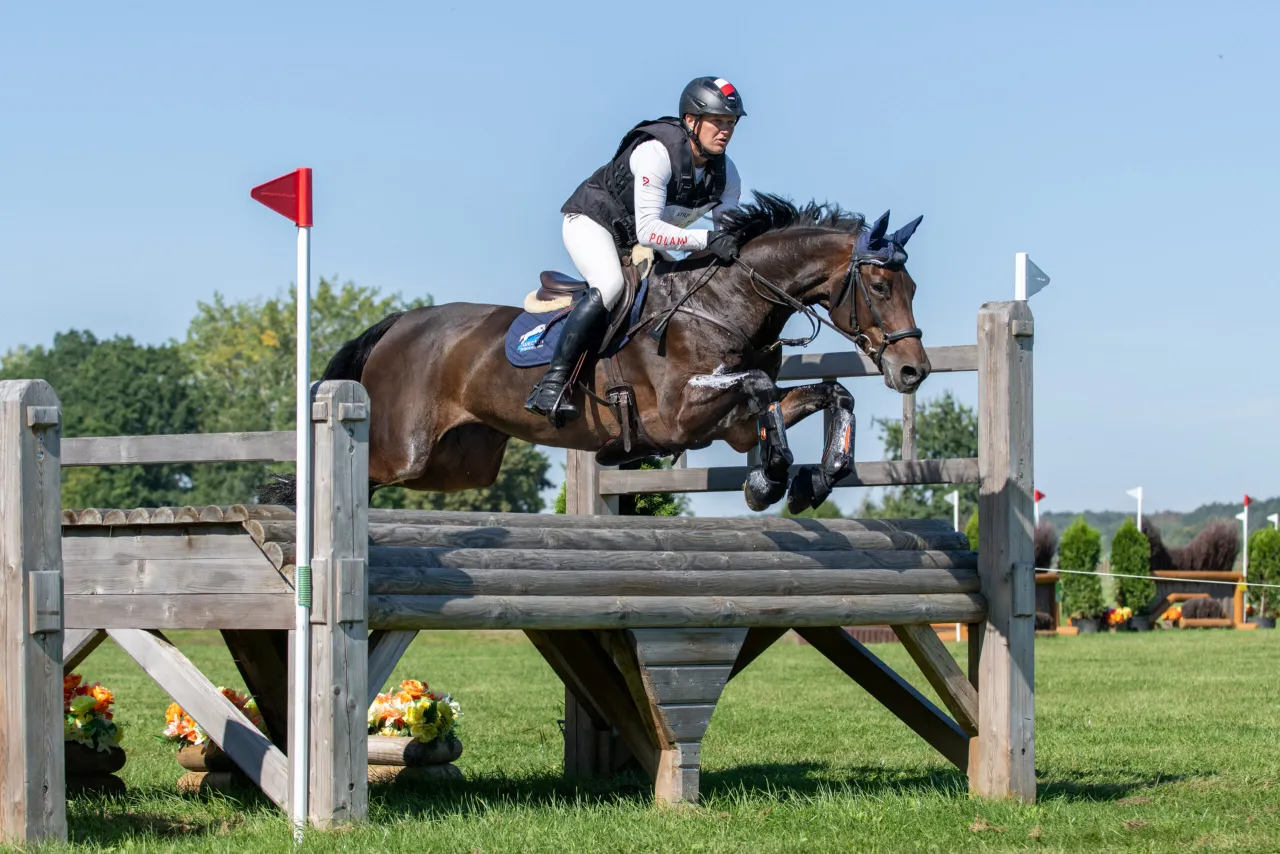 dyscypliny jeździeckie skoki ujeżdżenie WKKW