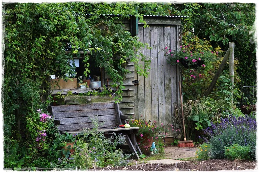 ogród w stylu wiejskim inspiracje