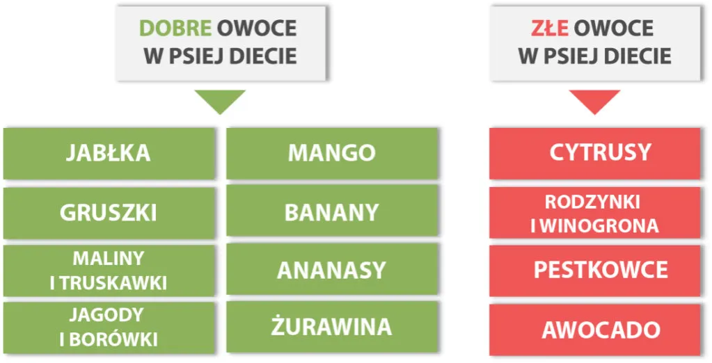 bezpieczne owoce dla psa lista