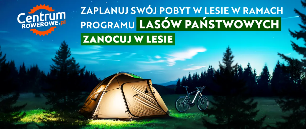 Mapa Banku Danych o Lasach z zaznaczonymi obszarami do noclegu