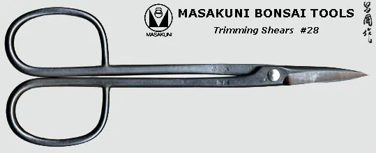 specjalistyczne narzędzia do przycinania bonsai