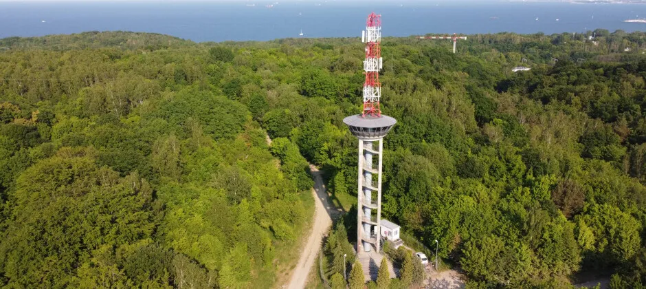 Las Jaśkowej Doliny Gdańsk wieża widokowa