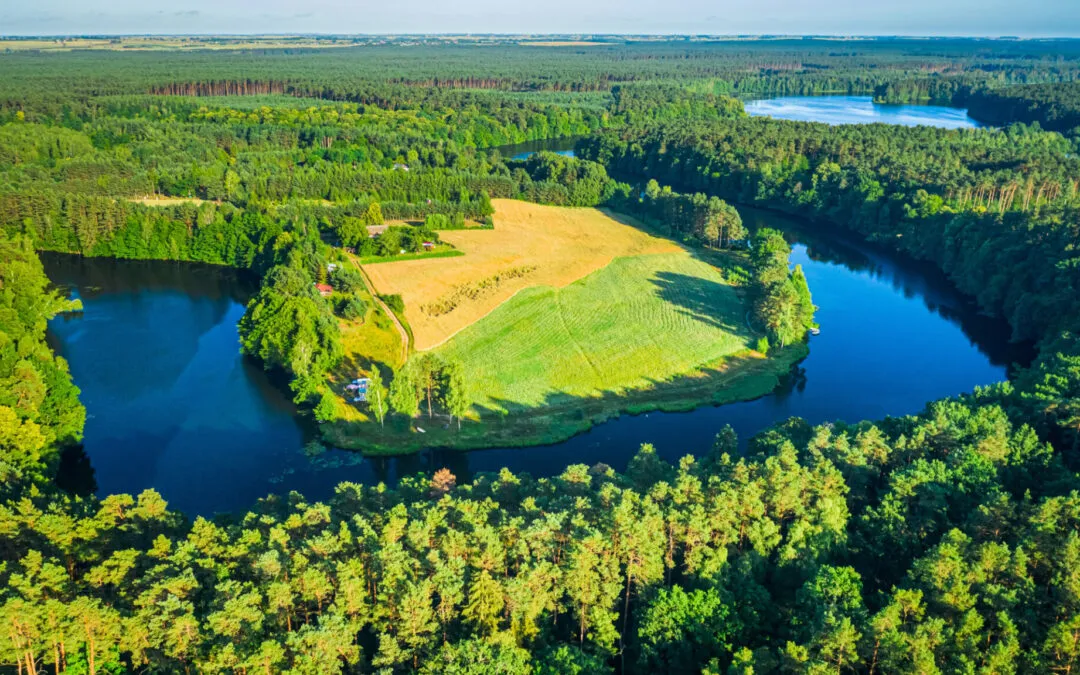 Bory Tucholskie jeziora i rzeki