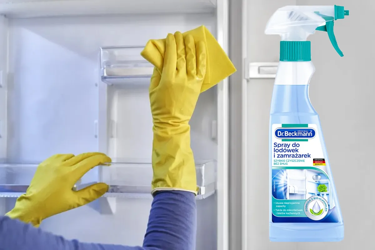 specjalistyczne preparaty do czyszczenia lod&oacute;wek i zamrażarek