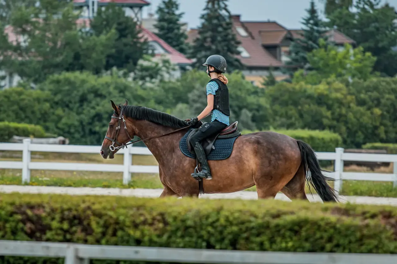 koszty utrzymania konia w Polsce infografika