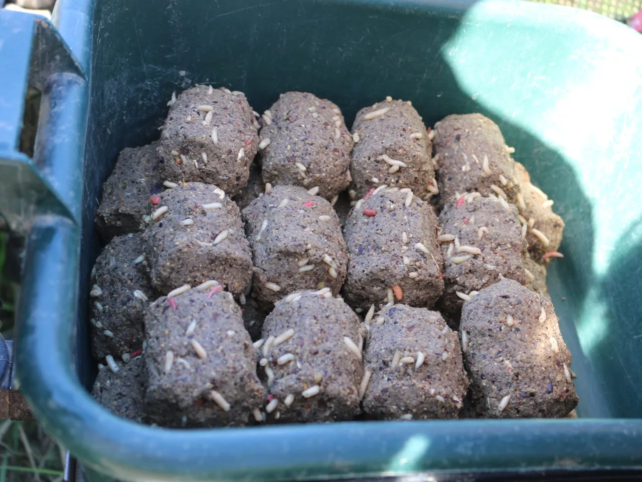 Wiadro z gliną do zanęty, pełne okrągłych kul z widocznymi białymi larwami.