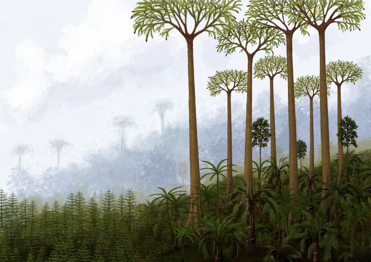 prastary las karbon gigantyczne paprocie widłaki dla dzieci