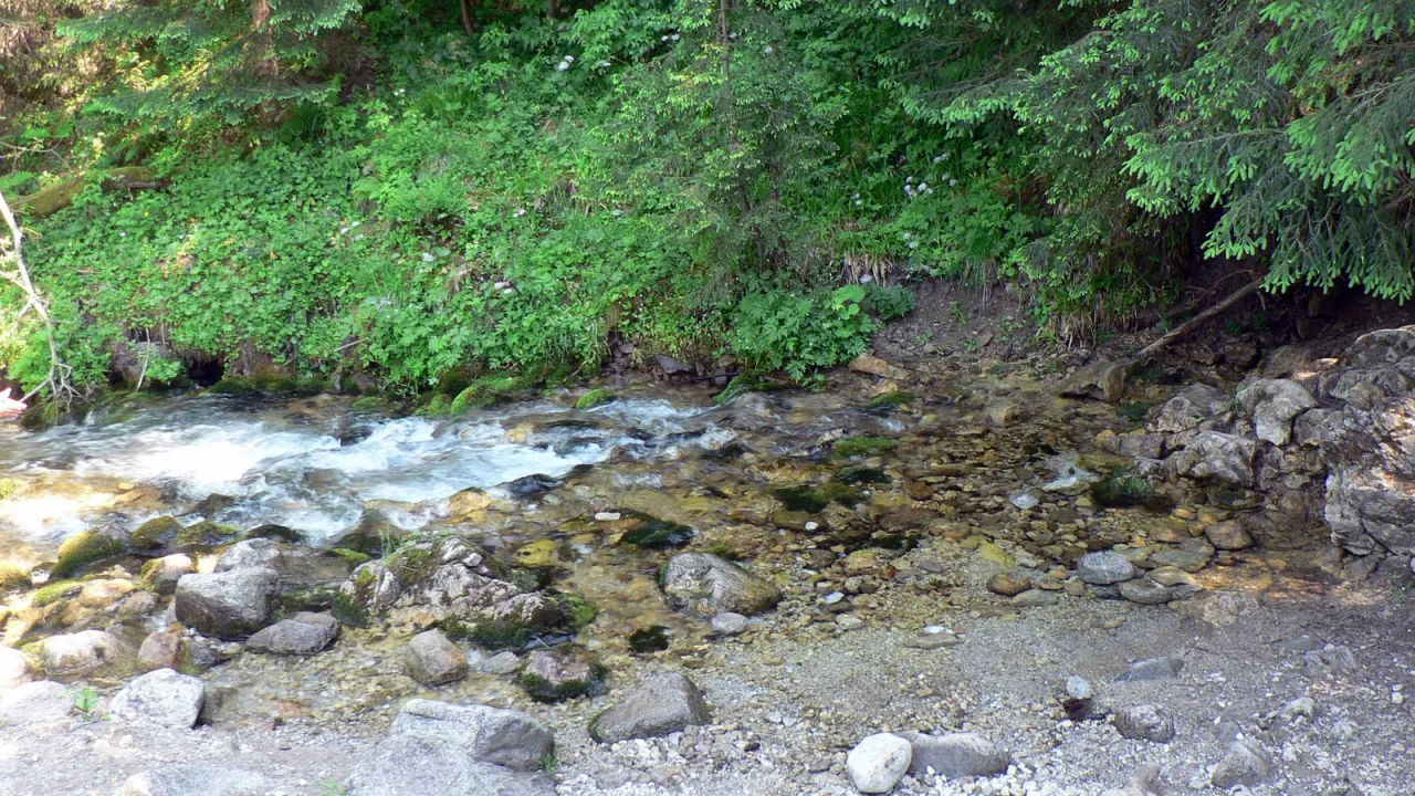 Wywierzyska krasowe Dolina Żabnika