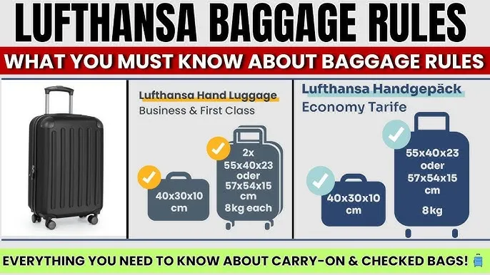 Lufthansa hand luggage allowance by class comparison