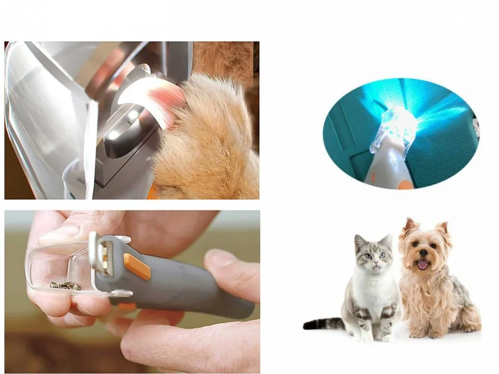 pielęgnacja pazur&oacute;w kota