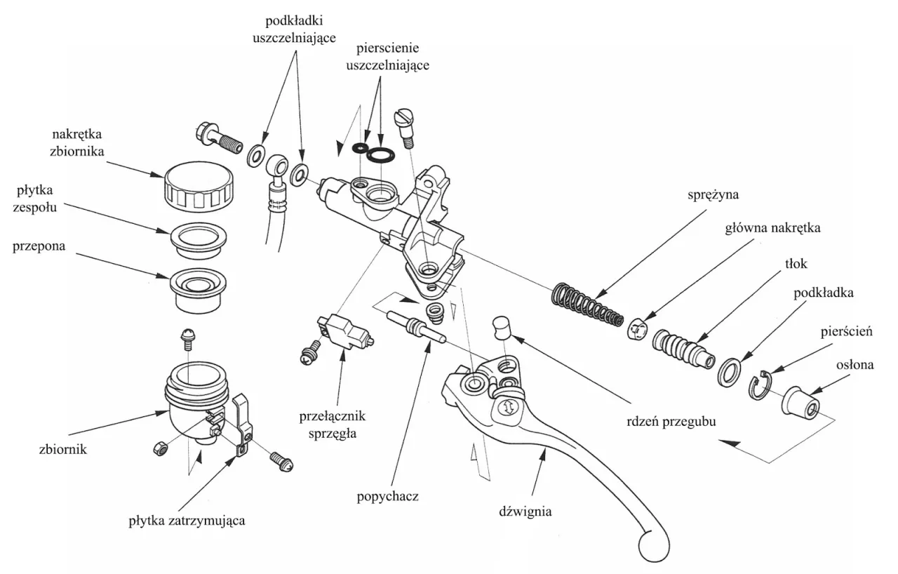 elementy sprzęgła samochodowego schemat