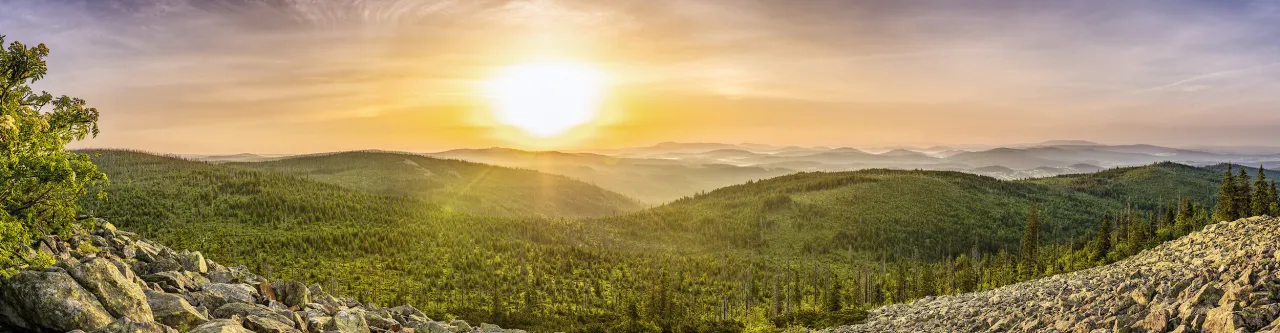 Panoramablick Bayerischer Wald Nationalpark im Sommer