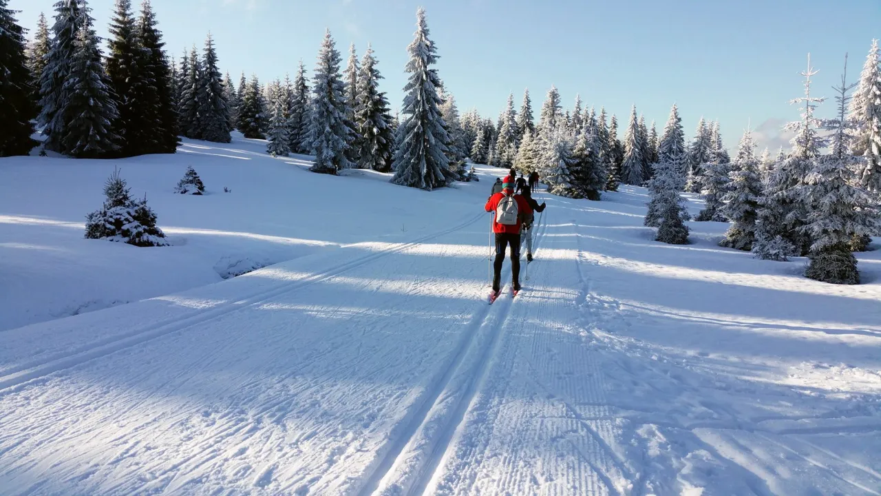Polana Jakuszycka narciarstwo biegowe