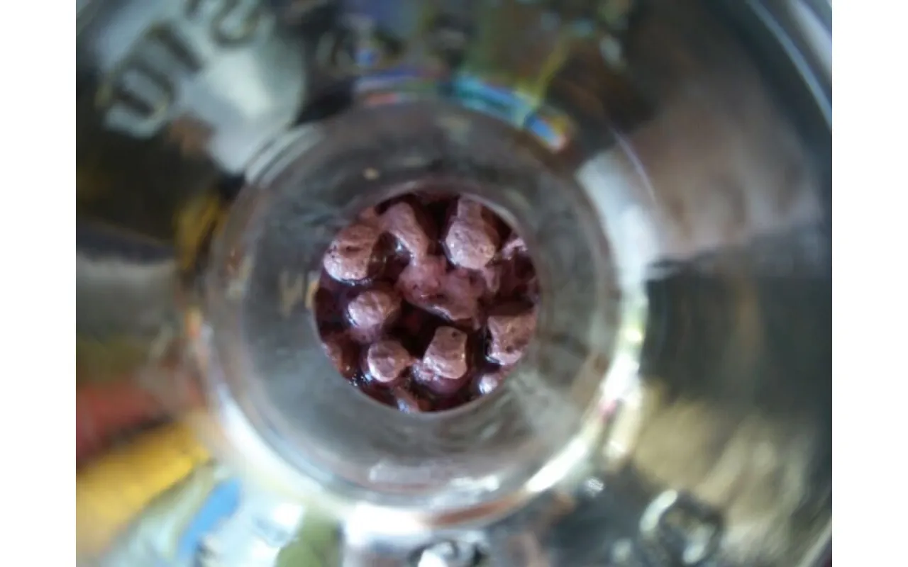 Problemy z winem domowym pleśń fermentacja