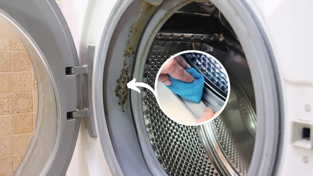 czyszczenie gumowej uszczelki w pralce pastą z sody