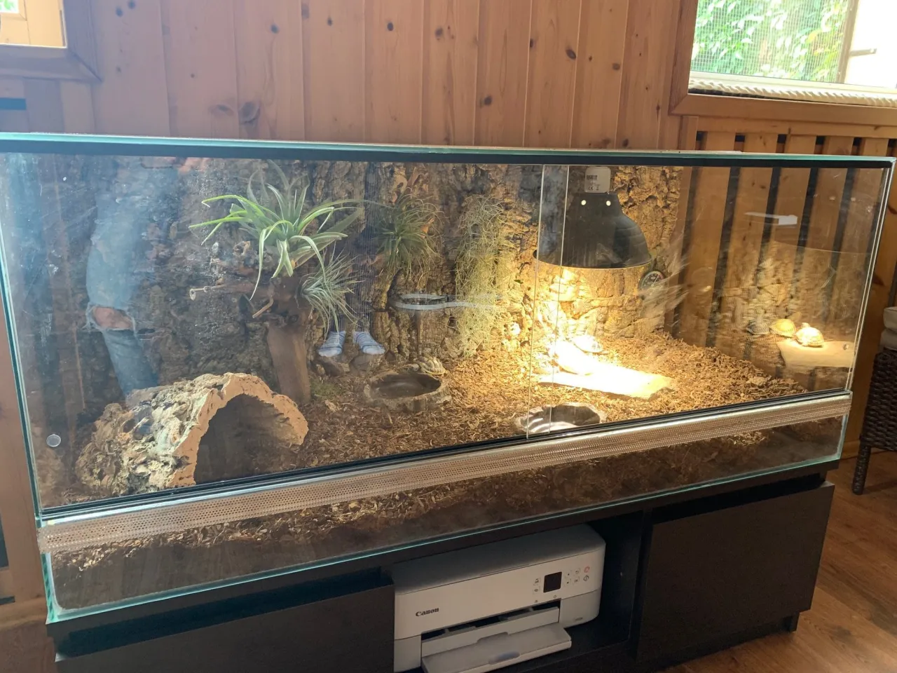 terrarium dla ż&oacute;łwia lądowego