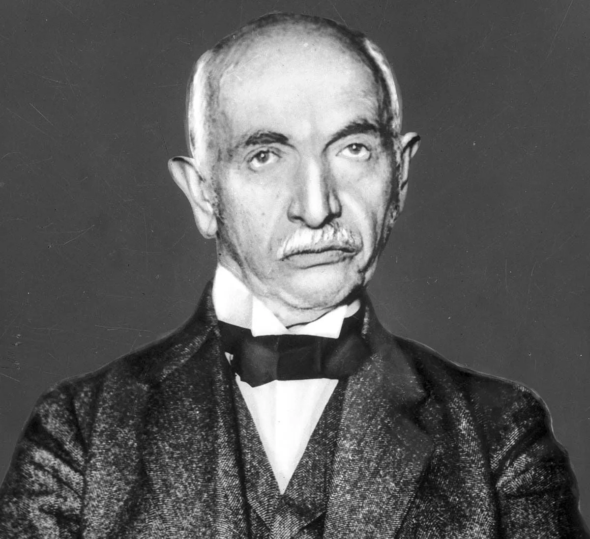 Aleksander Br&uuml;ckner portret