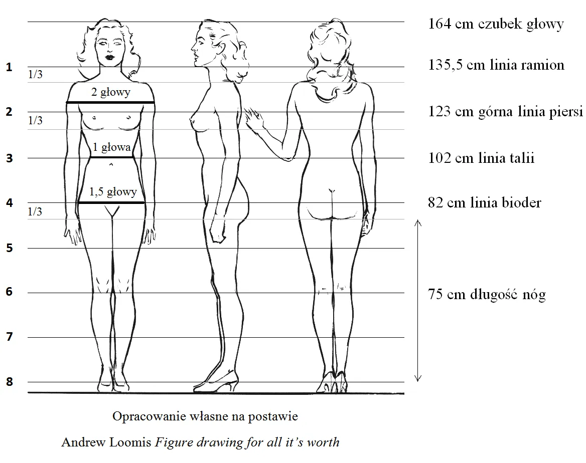 jak mierzyć biust talię biodra do sylwetki