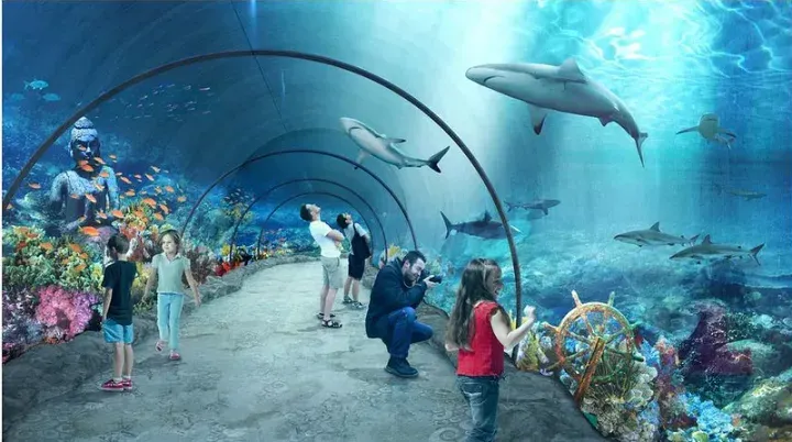 Orientarium Łódź tunel podwodny rekiny i płaszczki