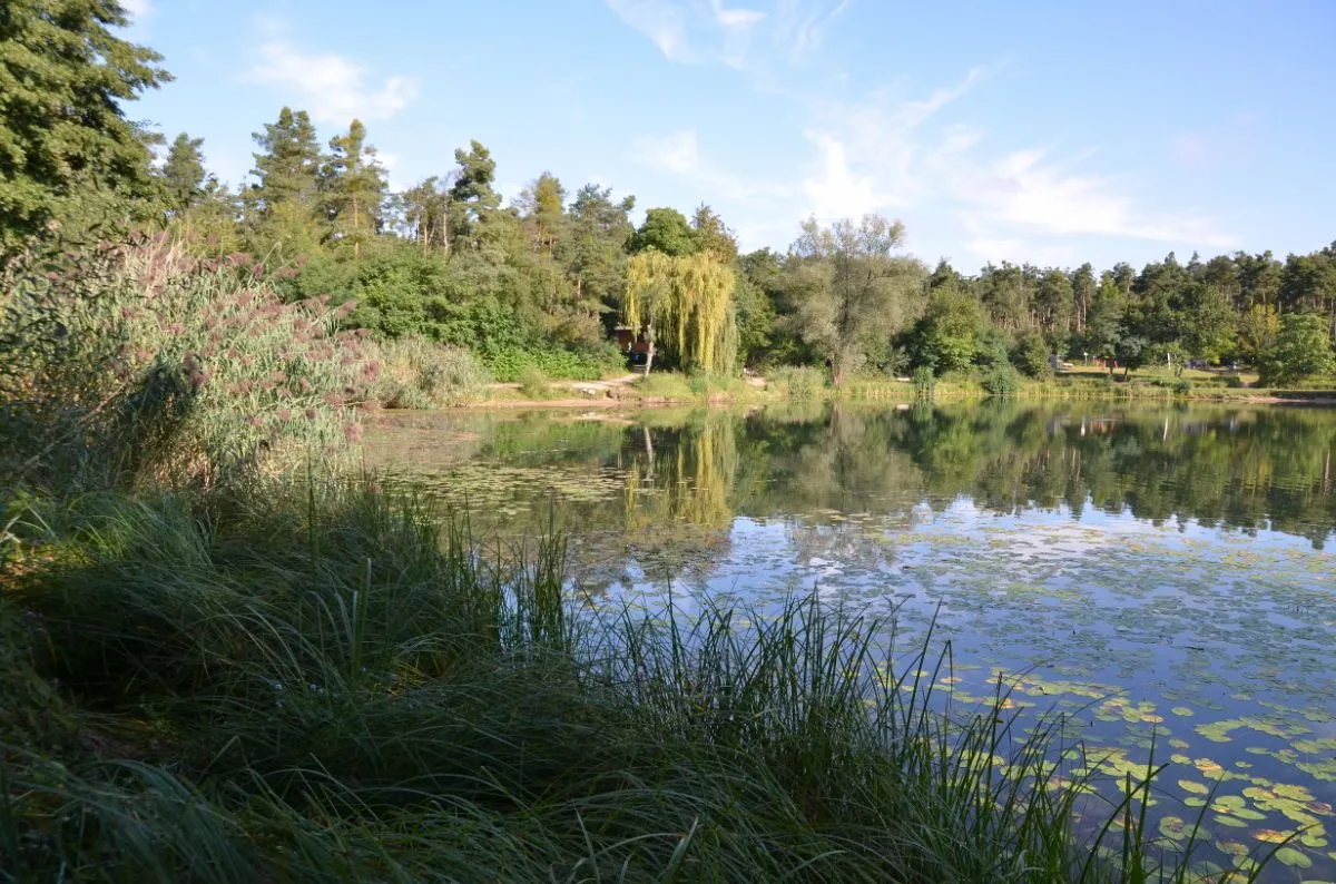 Heidweiher Viernheim Spazierweg