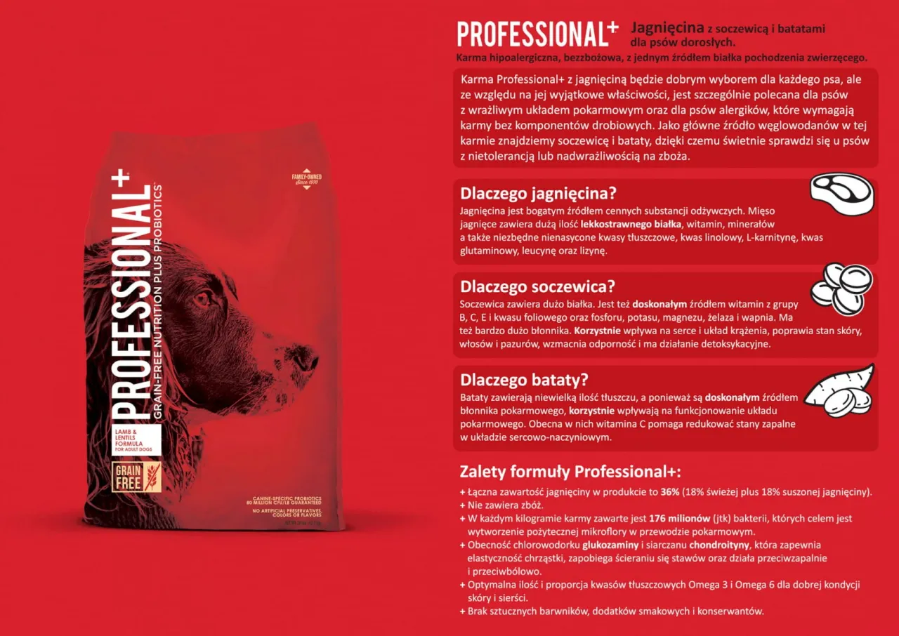 Składniki karmy dla psa groch soczewica