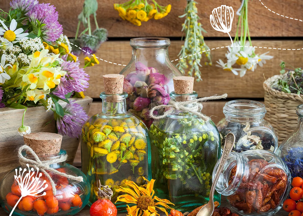 Butelki z ziołami i owocami, gotowe do tego, jak zrobić ekstrakt roślinny. W tle suszone kwiaty i drewniana ściana.