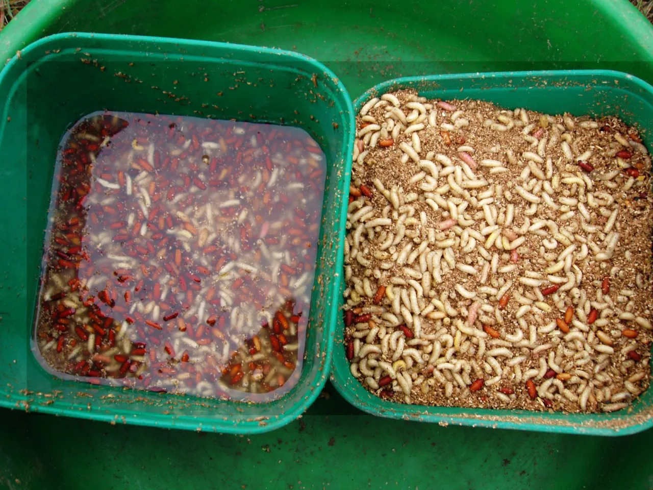 kretowisko świeże ziemia wędkarstwo