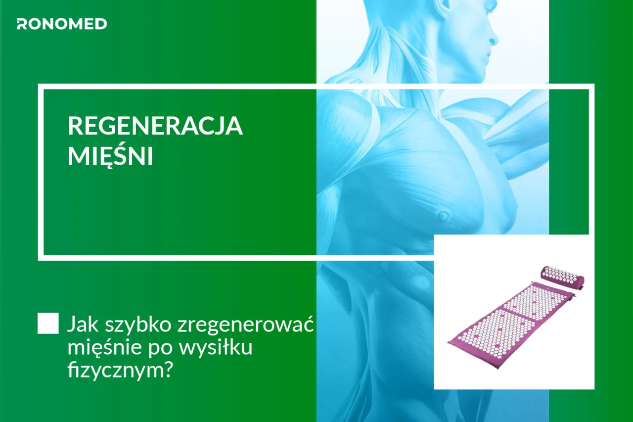 regeneracja mięśni po treningu