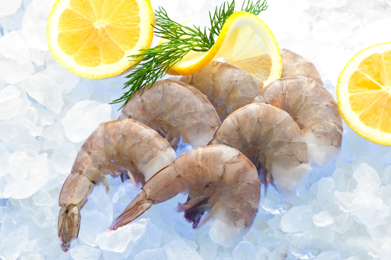 świeże krewetki na lodzie