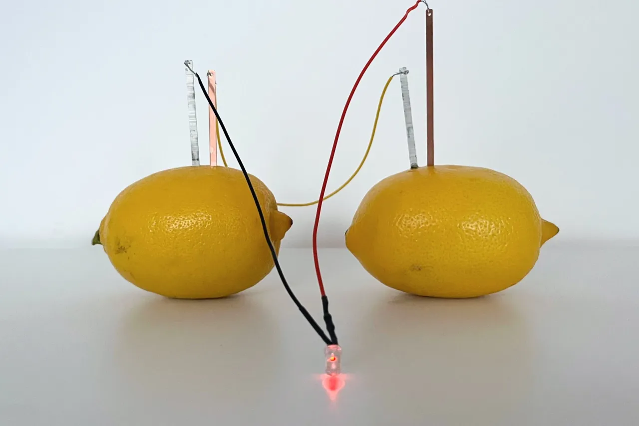 Eksperyment z budową ogniwa: dwa cytrynowe źródła energii połączone przewodami, zasilające świecącą czerwoną diodę LED.